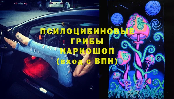 хмурый Алексеевка