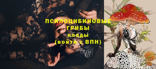 2c-b Алексин