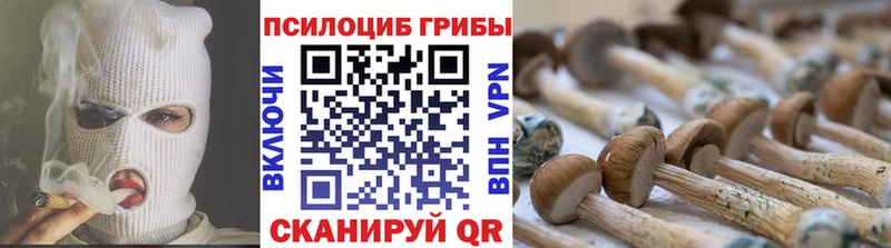 Галлюциногенные грибы MAGIC MUSHROOMS  хочу   Морозовск 