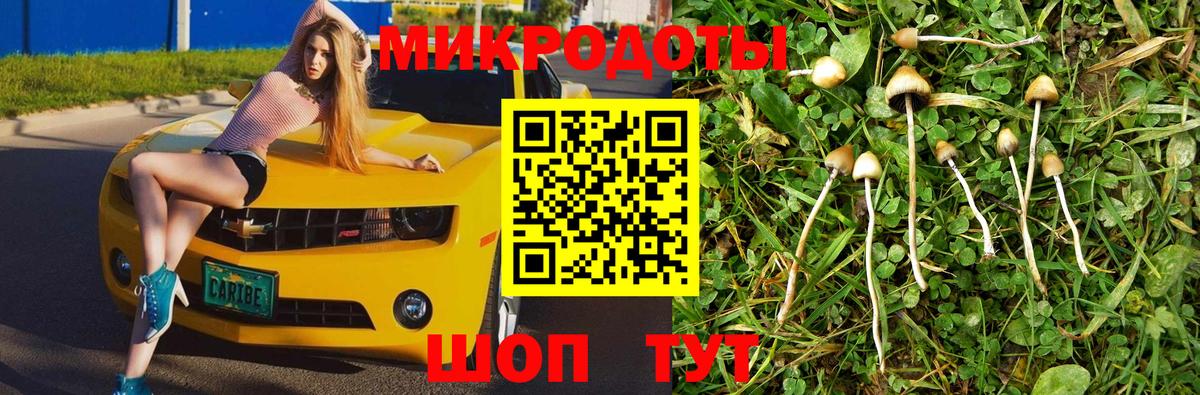 Псилоцибиновые грибы ЛСД Морозовск