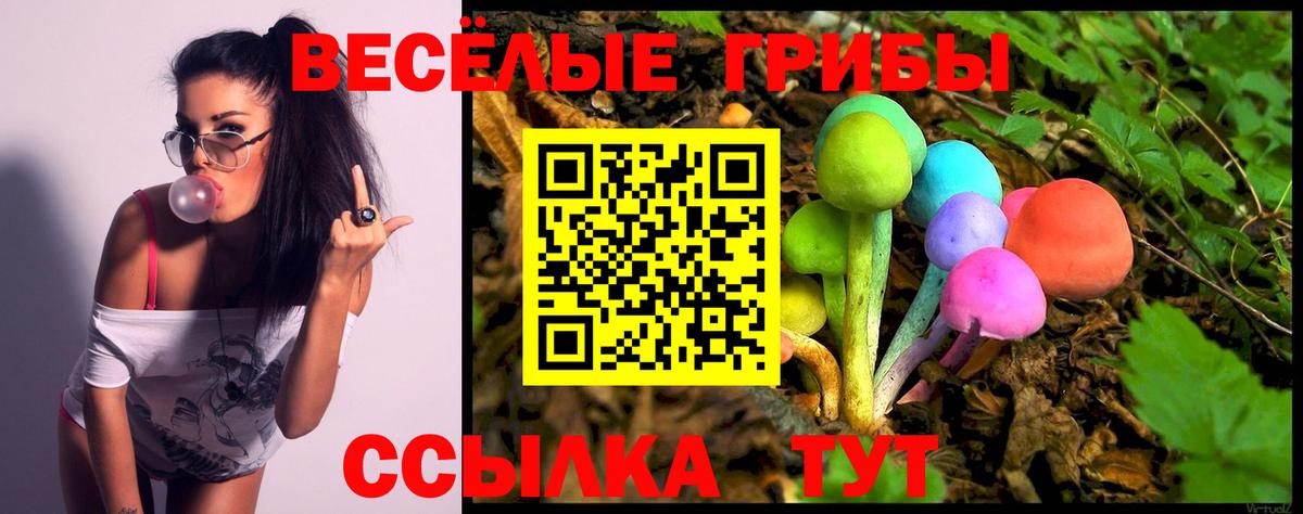 Морозовск  Галлюциногенные грибы GOLDEN TEACHER  Вход с VPN 